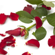 Image for article titled Florists Deliver A Total Shitshow Instead of Pretty Bouquets